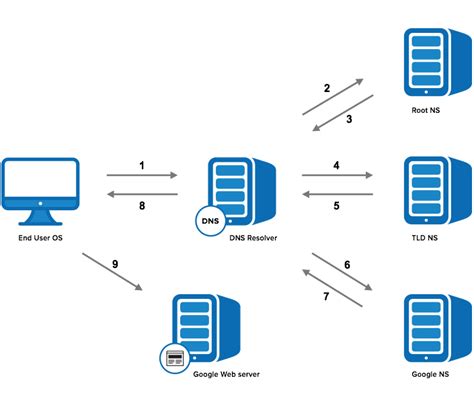 Domain to IP Lookup .